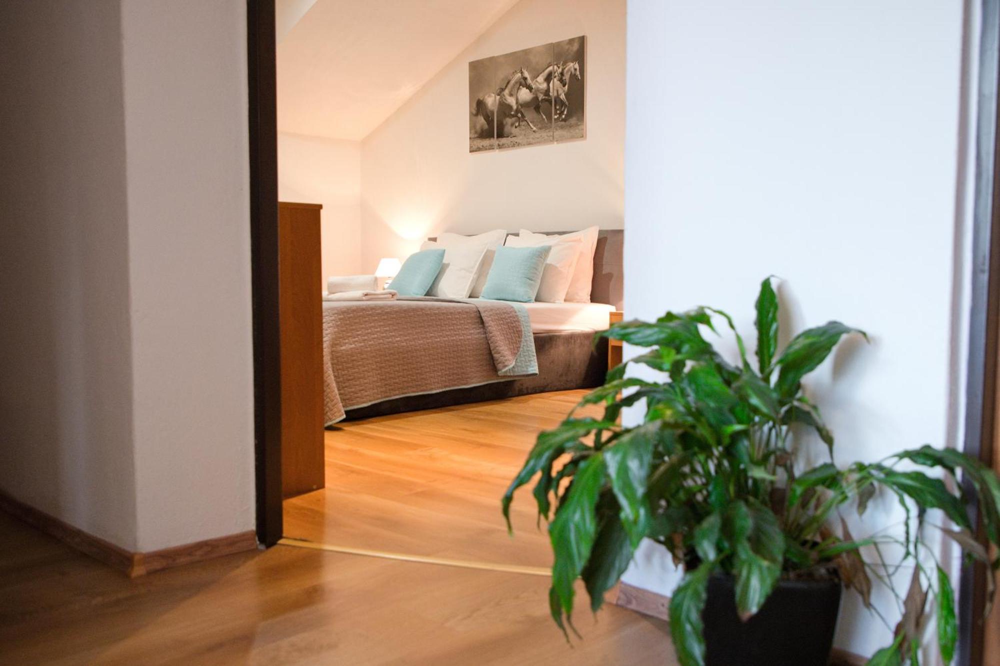 Apartman Ivka ブレズノ エクステリア 写真