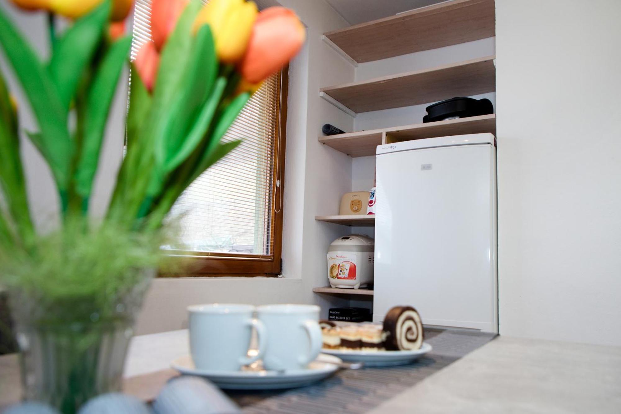 Apartman Ivka ブレズノ エクステリア 写真